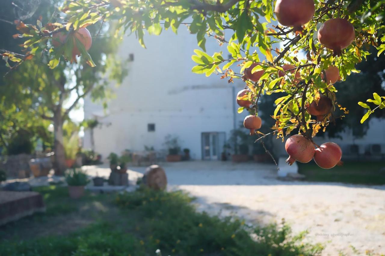 Rooms Masseria Giangrande Polignano a Mare Exterior foto